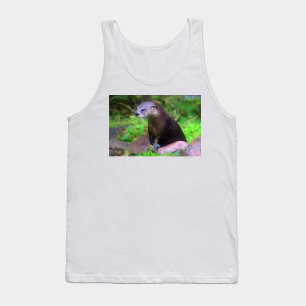 Fingal Tank Top by RedHillDigital